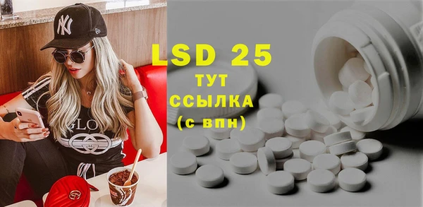прущие грибы Кодинск